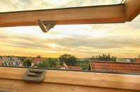 rated Ellenbrook roof window companies